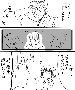 sqq559.gif