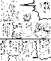 sqq568.gif