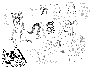 sqq579.gif