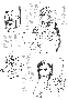 sqq583.gif