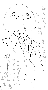 sqq586.gif