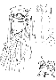 sqq590.gif