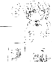 sqq591.gif