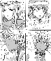 sqq596.gif