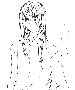 sqq599.gif