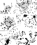 sqq608.gif