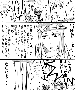 sqq640.gif