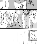 sqq645.gif