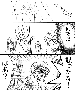 sqq659.gif