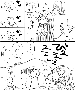 sqq662.gif