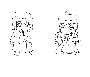 sqq664.gif