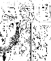 sqq666.gif