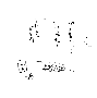 sqq696.gif