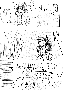 sqq697.gif