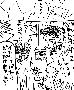 sqq708.gif