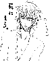 sqq711.gif