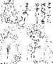 sqq737.gif