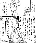 sqq738.gif