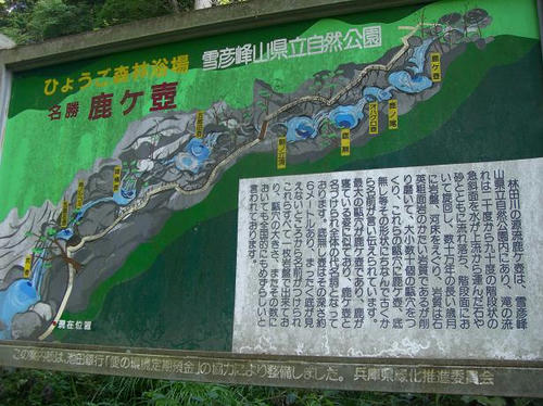 CIMG9310A.JPG