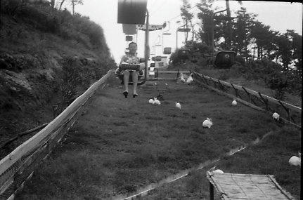img057A.jpg