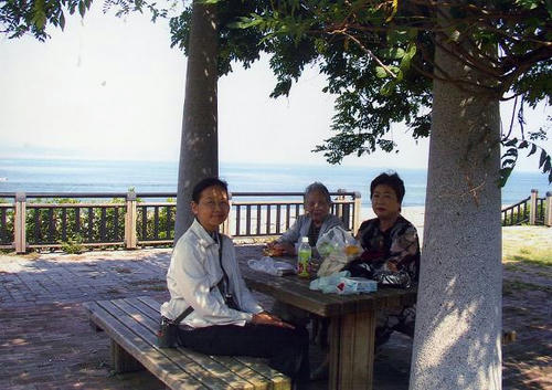 img394A.jpg
