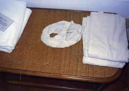 img401A.jpg