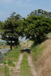 99f91b40.jpg