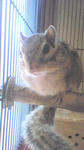 Image002~071.jpg