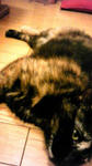 Image003~031.jpg