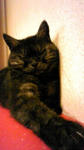 Image004~001.jpg