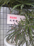 1424ea58.png