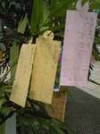 b5fa5599.png
