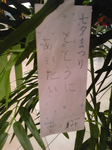4f7c6275.png
