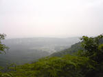 KC380019.jpg