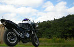 DSCN0400.jpg