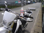 KC380129.jpg