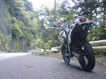 KC380130.jpg