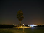 P1000208.JPG