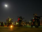 P1000284.JPG