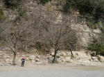 P1000377.JPG
