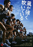 71734a8b.jpg