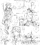 番外編１