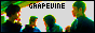 GRAPEVINE union