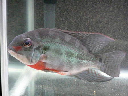 P1000434.JPG