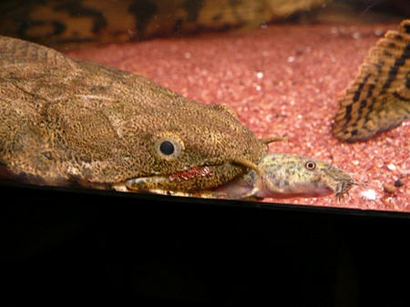 P1020002.JPG