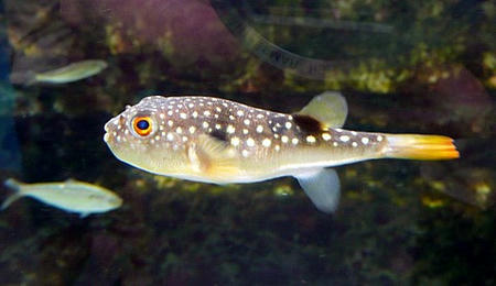 P1000757.JPG