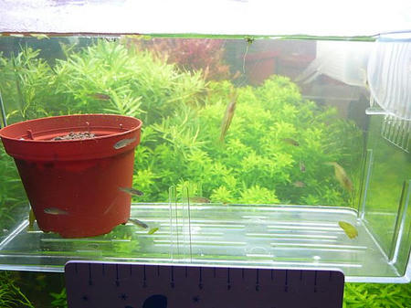 P1000095.JPG