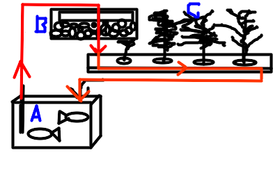 fimg_11201860496.png