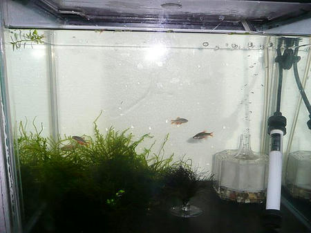 P1000238.JPG