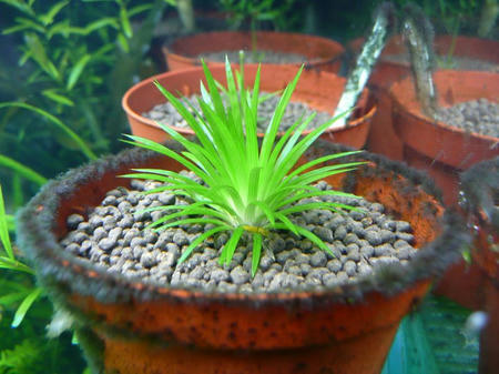 P1000517.JPG